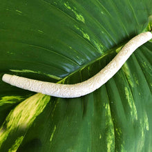 Load image into Gallery viewer, Titan Tepis | Premium Hapé Application Pipes